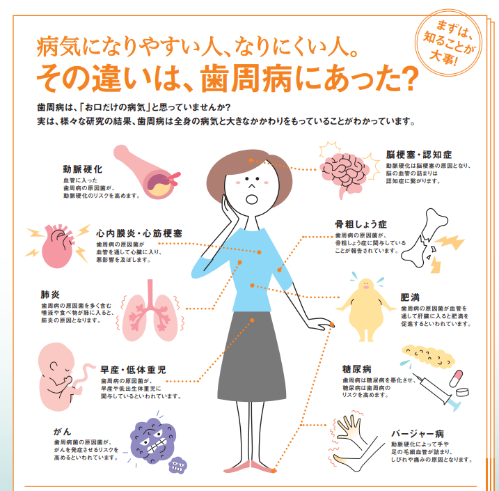 お口の健康と全身の健康の関係